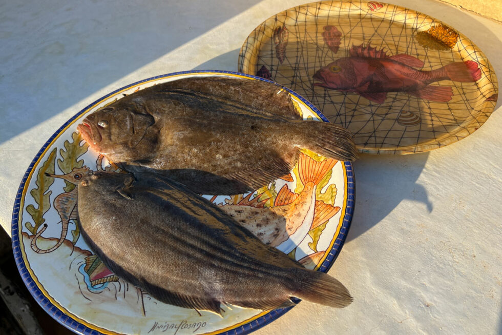 La Gassinière - La table - Poisson